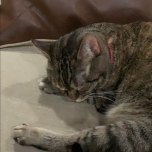 Meet your Posher, Kenneth